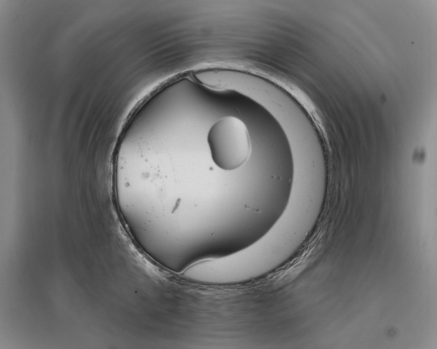 X0000096990807200802291208