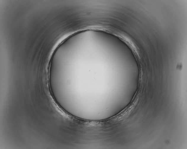 X0000096990808200802291208