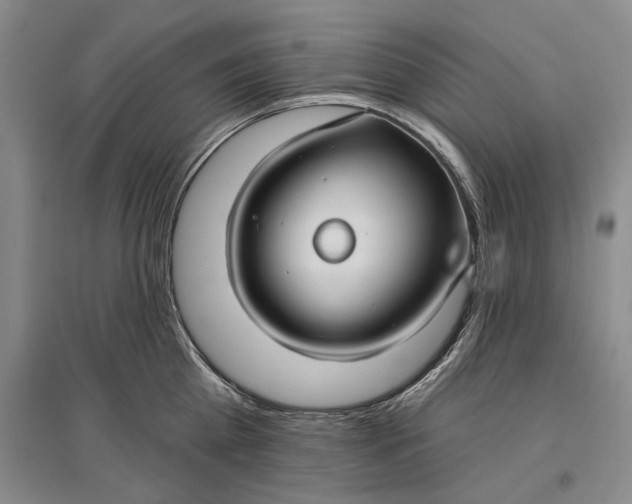 X0000096990809200802291207