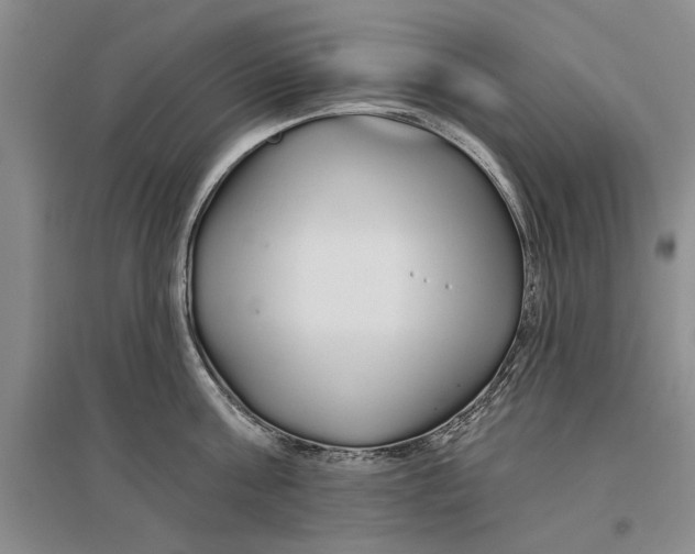 X0000096990811200802291207