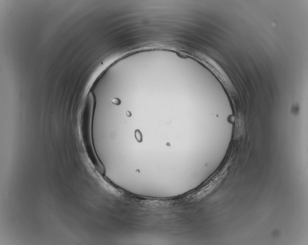 X0000096990812200802291207