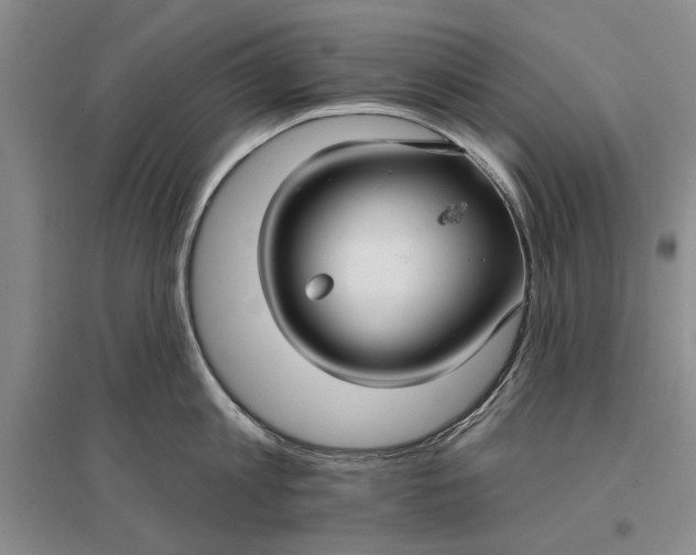 X0000096990813200802291207