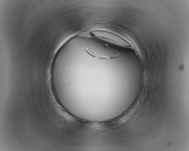 X0000096990814200802291207