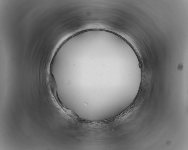 X0000096990815200802291207