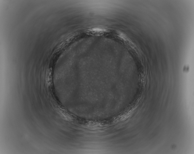 X0000096990818200802291207