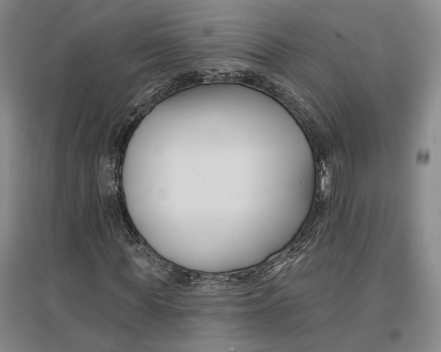 X0000096990819200802291207