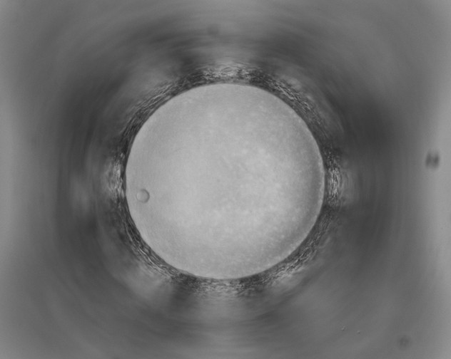 X0000096990820200802291207