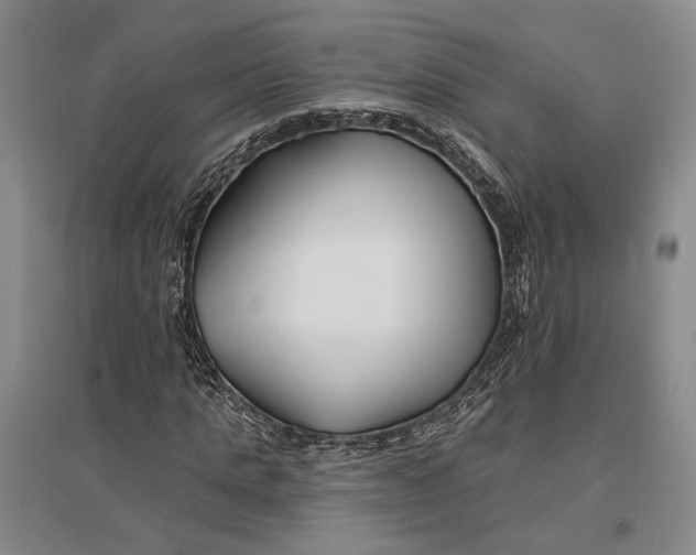 X0000096990821200802291207