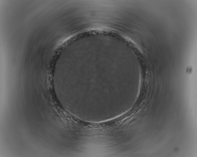 X0000096990822200802291207