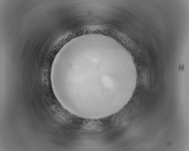 X0000096990824200802291207