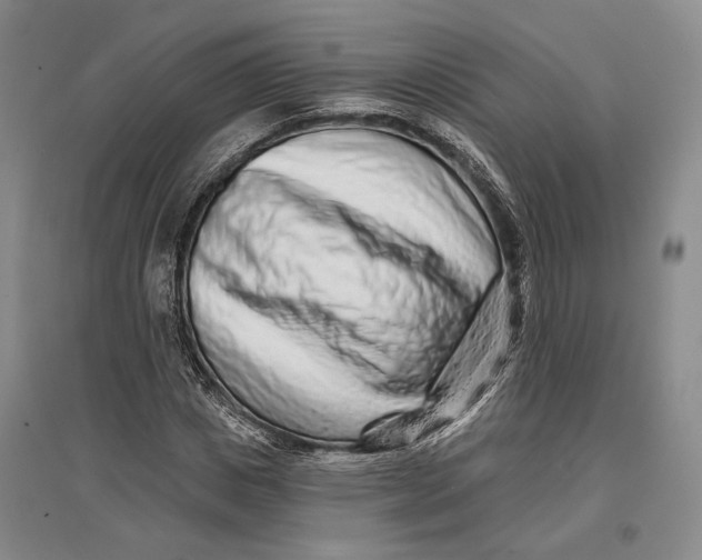 X0000096990825200802291207