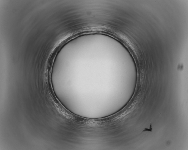 X0000096990827200802291207