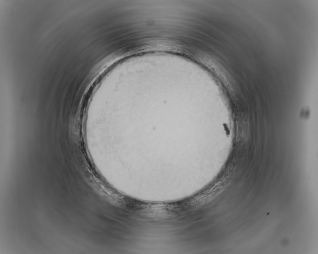 X0000096990828200802291207