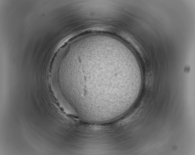 X0000096990829200802291207