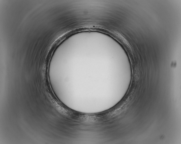 X0000096990831200802291207