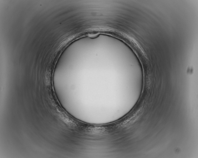 X0000096990833200802291207