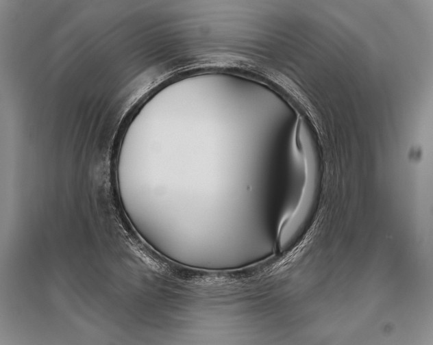 X0000096990834200802291207