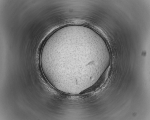 X0000096990835200802291207