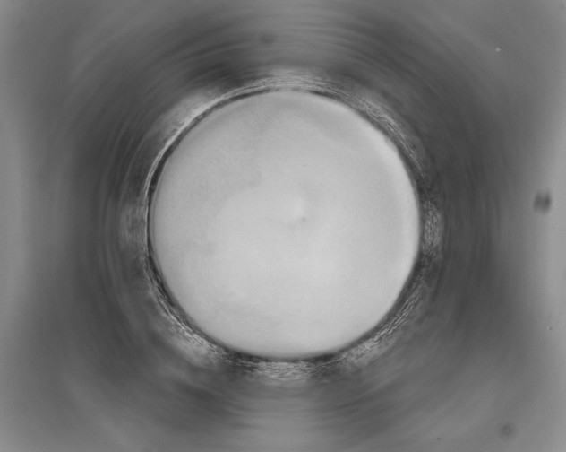 X0000096990836200802291207