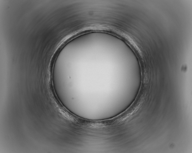 X0000096990837200802291207