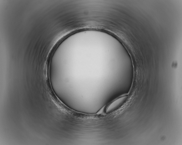 X0000096990838200802291207