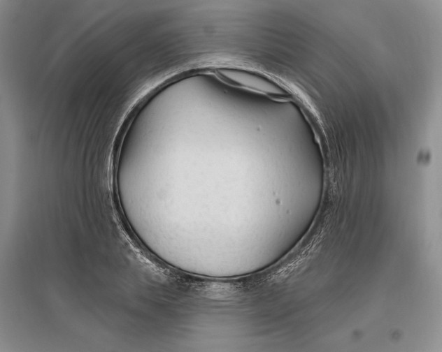 X0000096990839200802291207