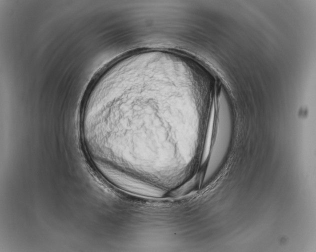 X0000096990840200802291207