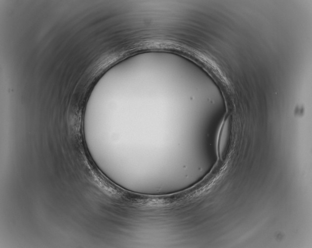 X0000096990841200802291207