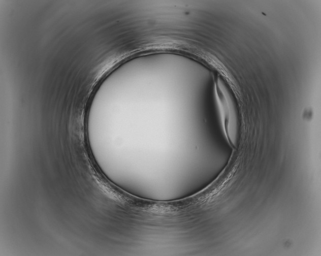 X0000096990842200802291207