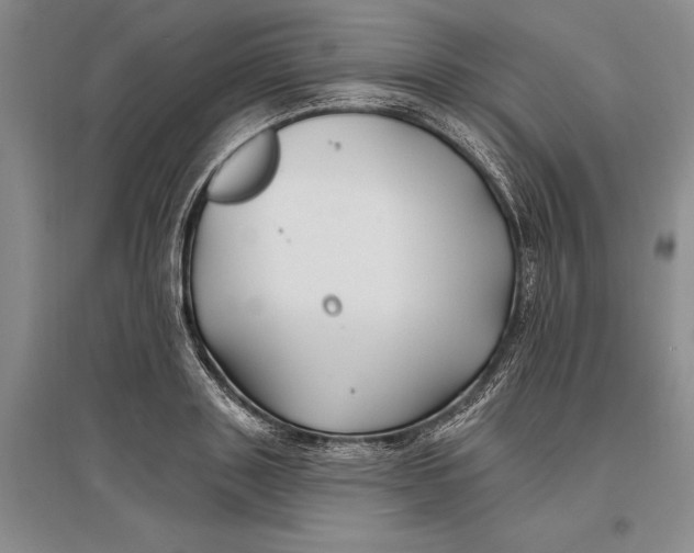 X0000096990843200802291207