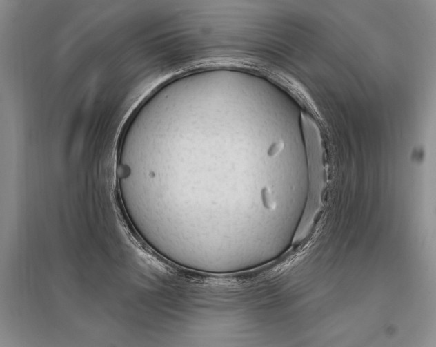 X0000096990844200802291207