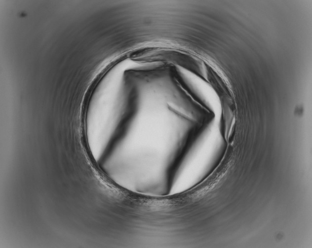 X0000096990845200802291207