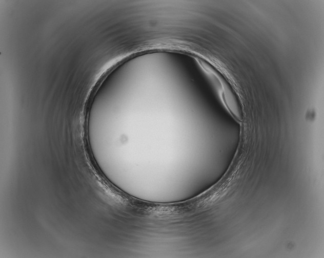 X0000096990846200802291207