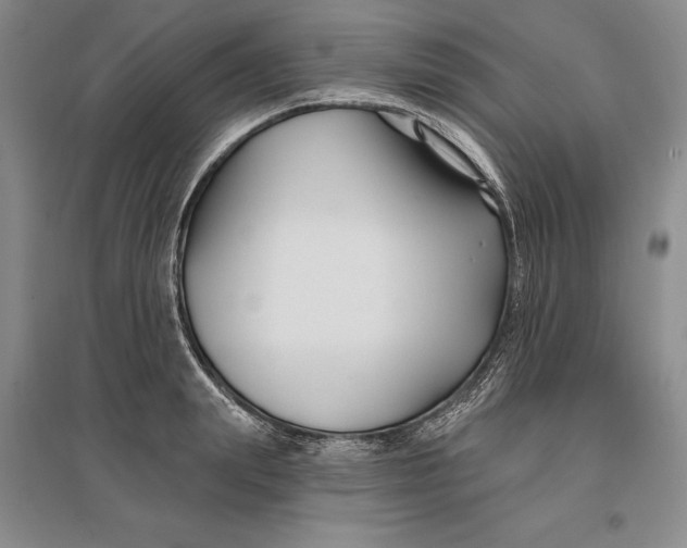 X0000096990847200802291207