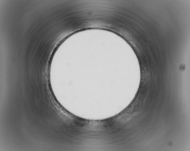 X0000096990848200802291207