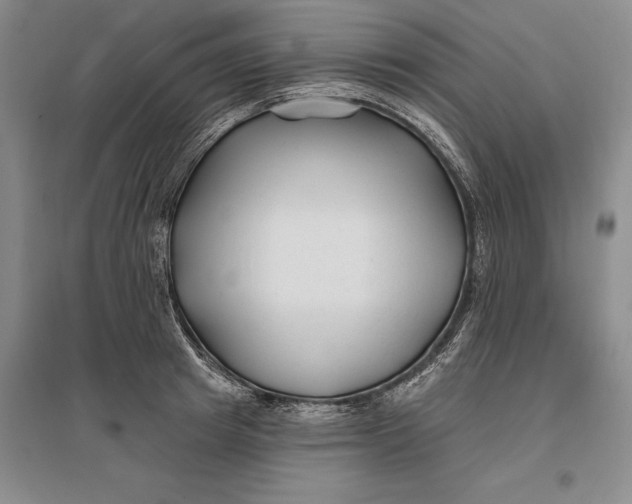 X0000096990849200802291207