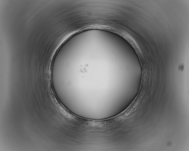 X0000096990852200802291207