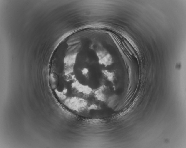 X0000096990853200802291207