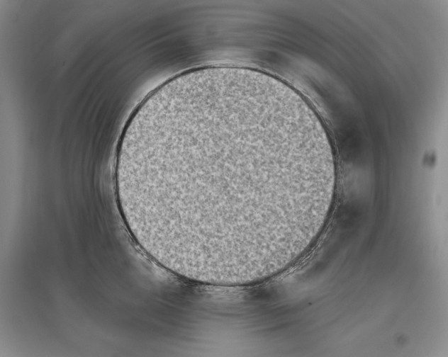 X0000096990856200802291207