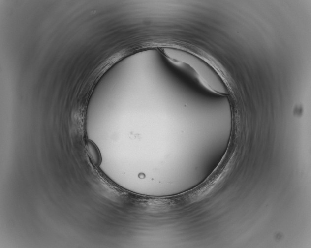 X0000096990857200802291207