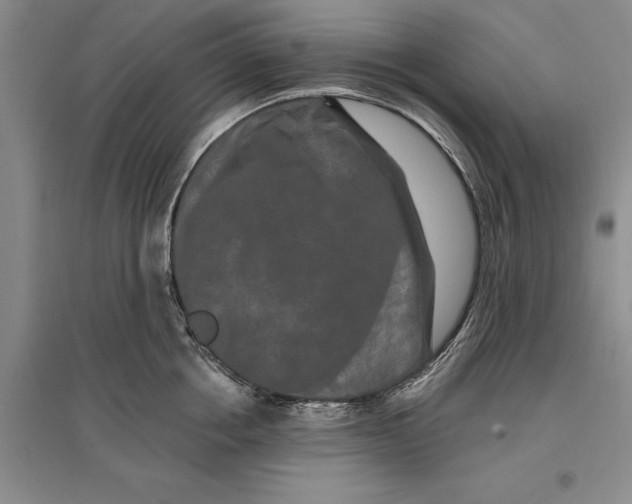 X0000096990858200802291207