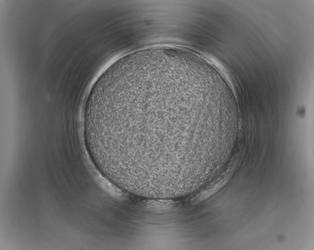 X0000096990859200802291207