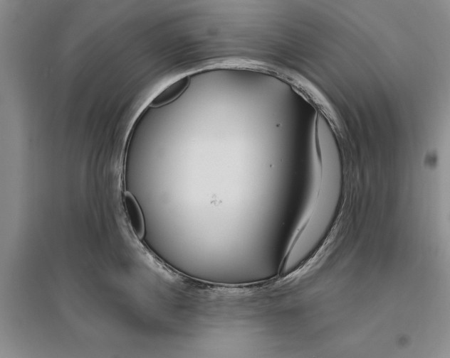 X0000096990860200802291207