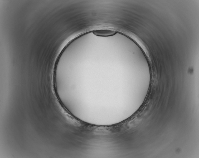 X0000096990861200802291207