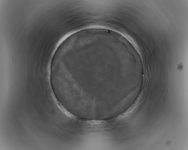 X0000096990862200802291207