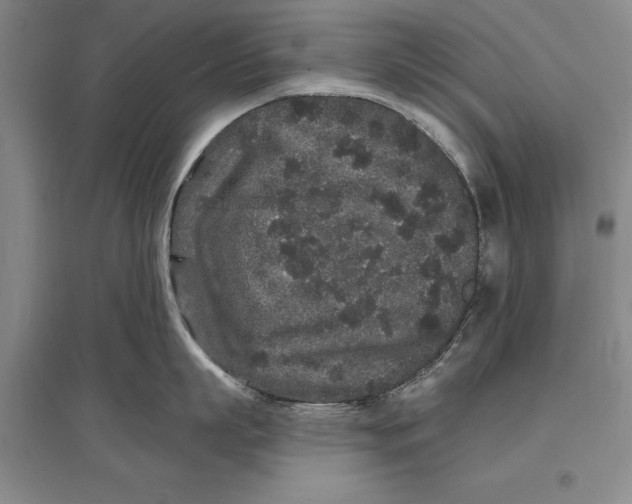 X0000096990863200802291207