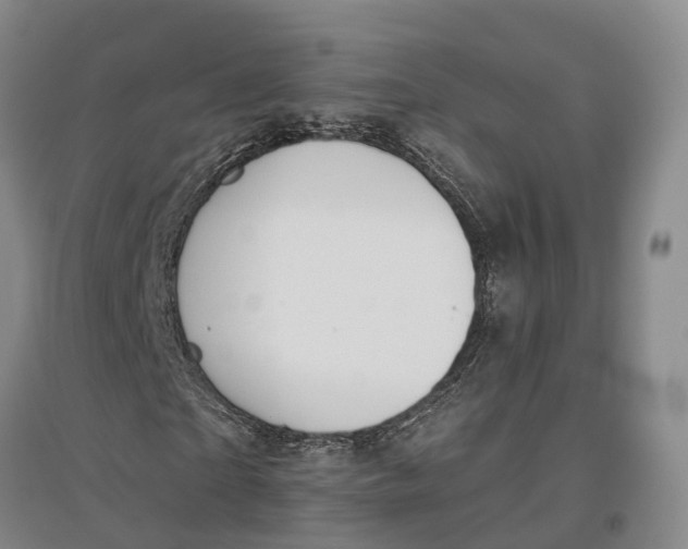 X0000096990865200802291207