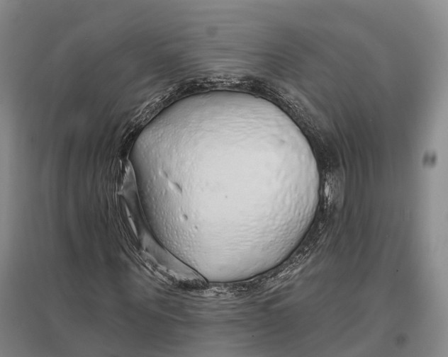 X0000096990867200802291207