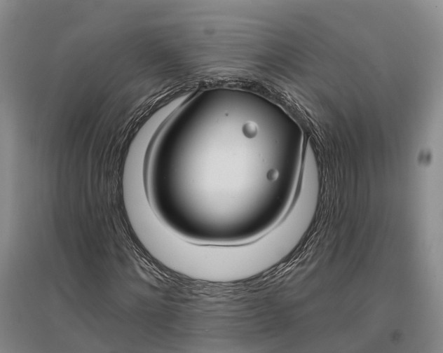 X0000096990868200802291206