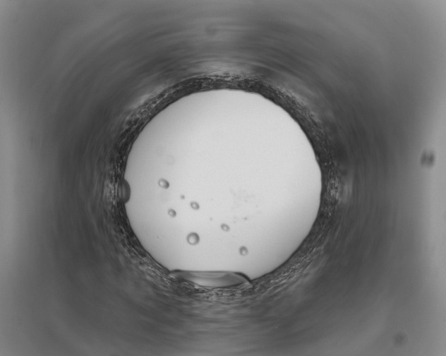 X0000096990869200802291206